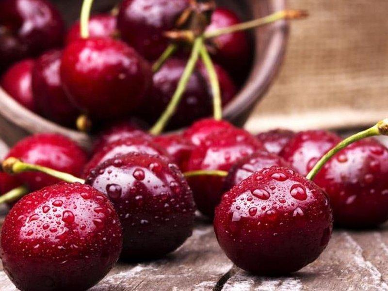 Вишня купить саженцы из питомника в Рязани